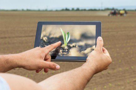 Россельхозбанк призвал IT-компании создавать сервисы для малых и средних агропромышленных компаний